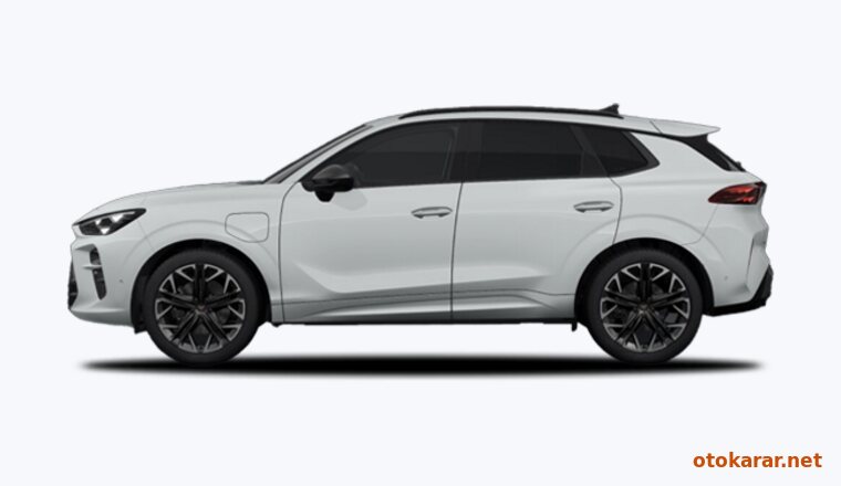 Cupra Terramar — Buzul Beyazı