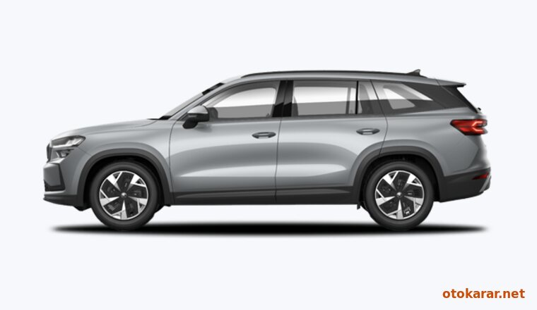 Gümüş Gri