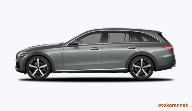 Metalik Selenit Grisi