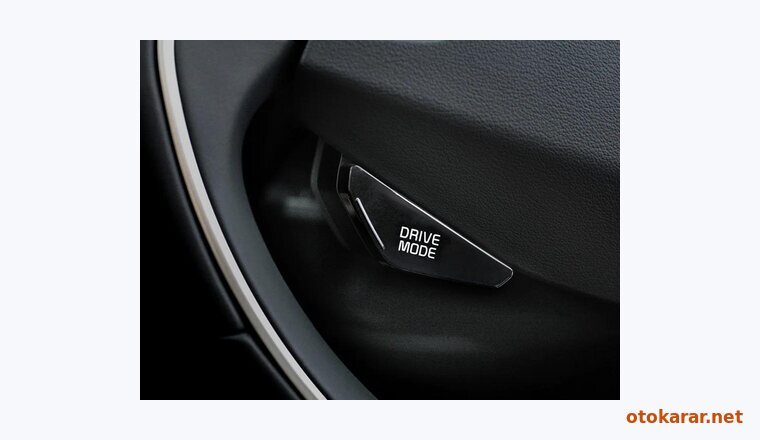 Kia Niro EV resmi